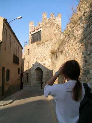 Town Walls 4
